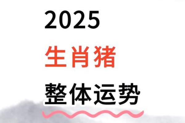 2025年属猪的运程 2025年属猪运程详解财运事业感情全解析