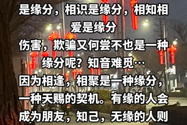 缘分是什么意思_缘分是什么意思揭秘缘分的真正含义与奥秘 缘分是什么意思_缘分是什么意思揭秘缘分的真正含义与奥秘