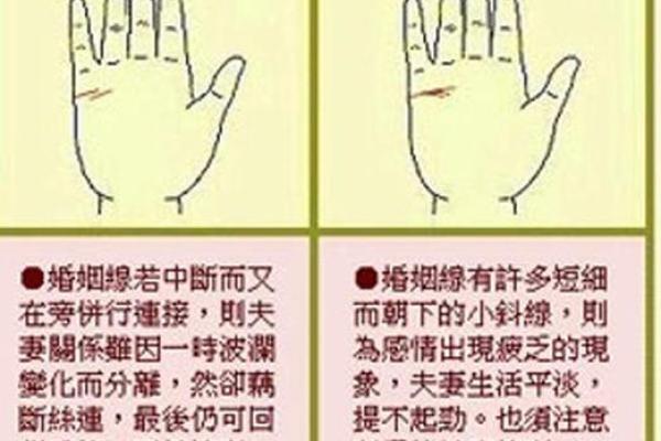 姻缘线怎么看 姻缘线怎么看手相解析姻缘运势全攻略 姻缘线怎么看 姻缘线怎么看手相解析姻缘运势全攻略