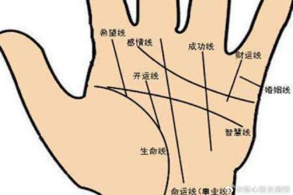 姻缘线怎么看 姻缘线怎么看手相解析姻缘运势全攻略 姻缘线怎么看 姻缘线怎么看手相解析姻缘运势全攻略