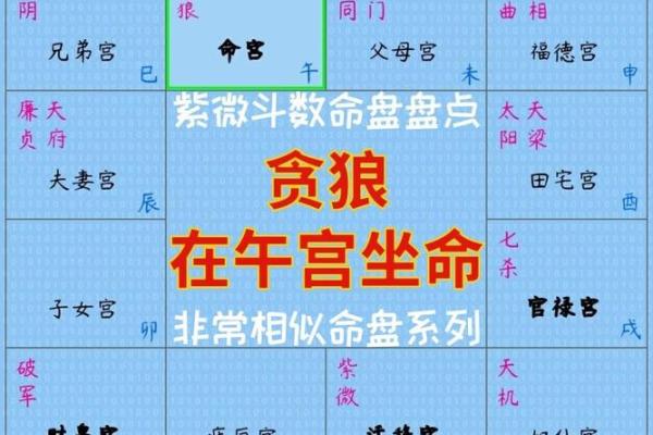 福德宫贪狼化禄 福德宫贪狼化禄财运亨通的命理奥秘解析 福德宫贪狼化禄 福德宫贪狼化禄财运亨通的命理奥秘解析