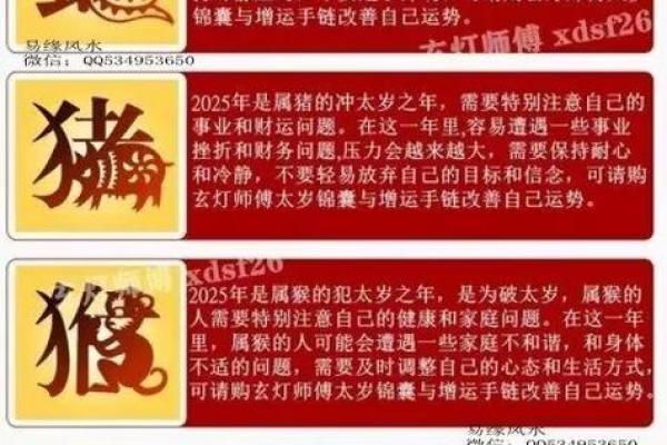 2025年属马犯太岁吗_龙年犯太岁的五个属相 2025年属马犯太岁吗_龙年犯太岁的五个属相