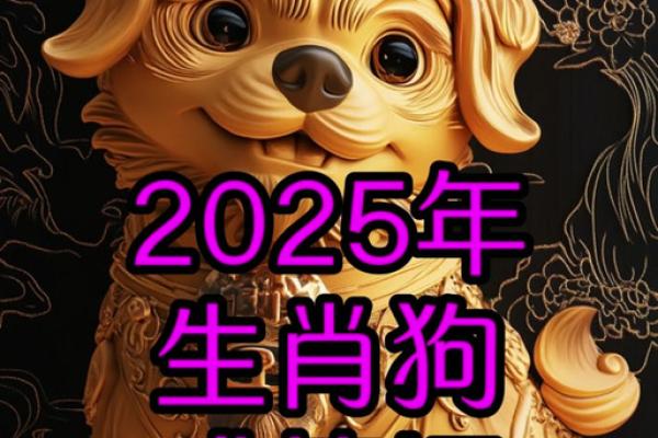 2025年70年属狗人运势与财运全解析 2025年70年属狗人运势与财运全解析