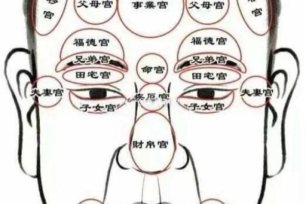 福德宫紫微天相得_福德宫紫微天相得命理解析与运势预测 福德宫紫微天相得_福德宫紫微天相得命理解析与运势预测