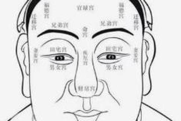 福德宫太阳天梁 福德宫太阳天梁天钺