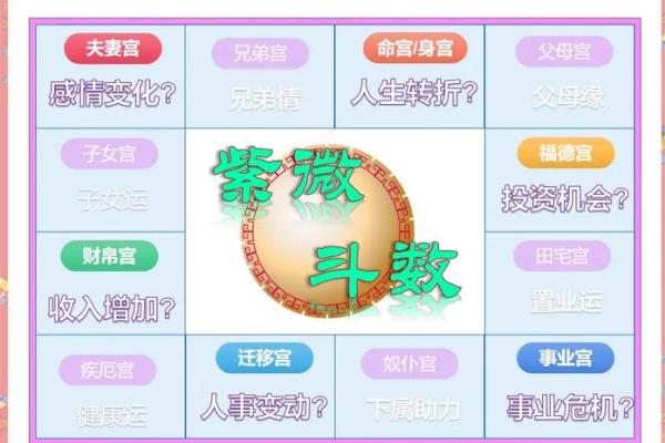 夫妻宫化禄入财帛宫_夫妻宫化禄入财帛宫财运与婚姻的双重提升解析