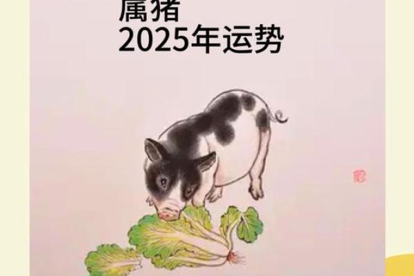 1995年属猪人2025年运势 1995年属猪人2025年运势详解财运事业双丰收