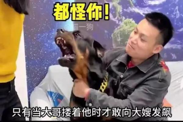 狗仗人势打一个生肖(狗仗人势打一个生肖数字) 狗仗人势打一个生肖(狗仗人势打一个生肖数字)