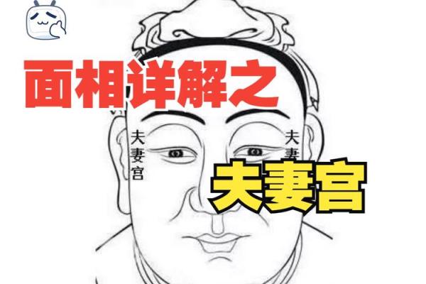 夫妻星和夫妻宫的区别 夫妻星与夫妻宫的区别解析命理中的婚姻奥秘 夫妻星和夫妻宫的区别 夫妻星与夫妻宫的区别解析命理中的婚姻奥秘