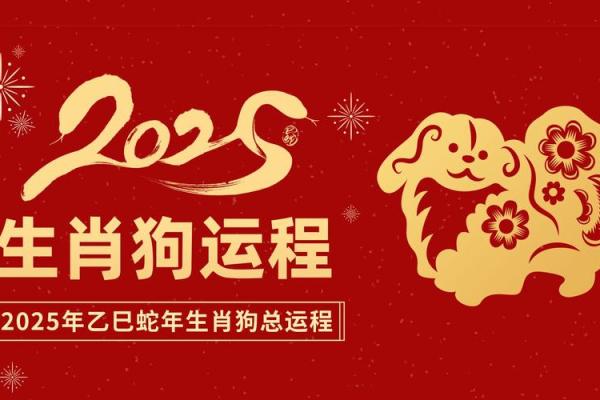 属狗人2026年全年运势运程 属狗人2026年全年运势运程如何 属狗人2026年全年运势运程 属狗人2026年全年运势运程如何