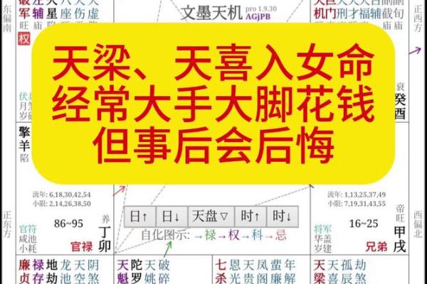 大鸾紫微斗数 大鸾紫微斗数解析揭秘命运玄机与人生运势 大鸾紫微斗数 大鸾紫微斗数解析揭秘命运玄机与人生运势