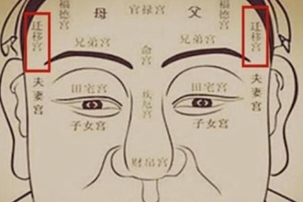 福德宫恩光 福德宫恩光天贵