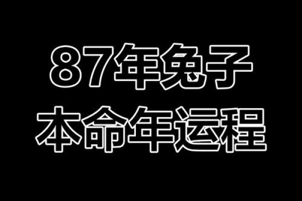 1987年属兔一生有二婚之命 1987年属兔一生有二婚是真的吗
