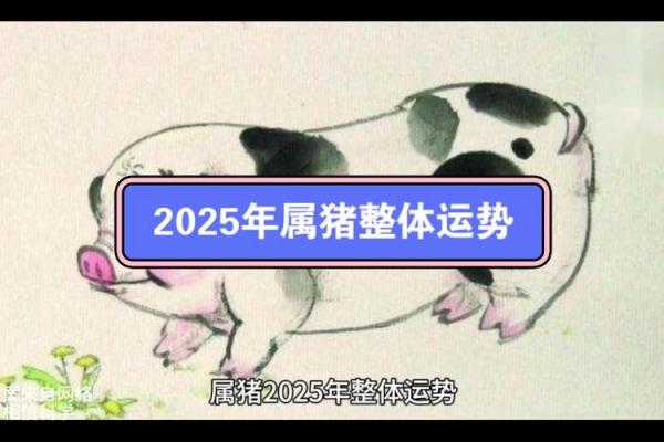 2025年属猪的人_2025年属猪的人要注意什么