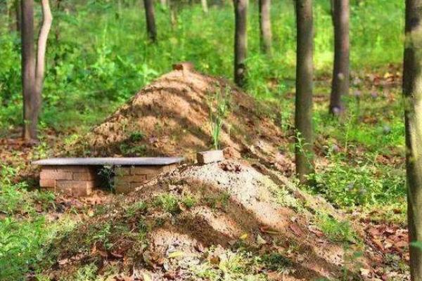 今年坟地可以动土吗(今年坟地可以动土吗视频) 今年坟地可以动土吗(今年坟地可以动土吗视频)