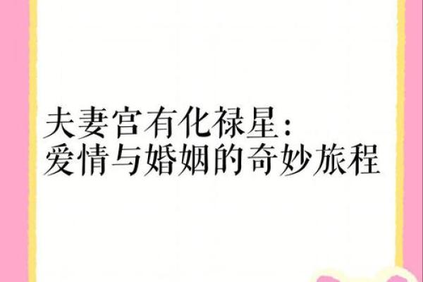 夫妻宫自化禄解析揭秘婚姻幸福的关键密码