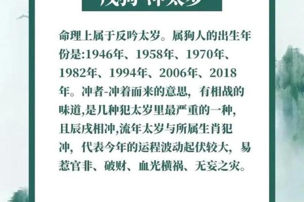 1982年属狗女人2025年运势详解运程预测与建议