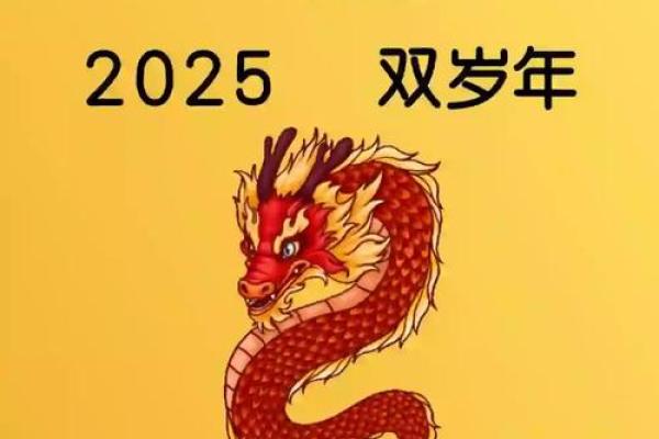 2024年属龙下半年要出大事_2024属龙的人 2024年属龙下半年要出大事_2024属龙的人