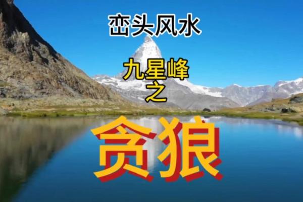 福德宫贪狼化忌_福德宫贪狼化忌是什么意思 福德宫贪狼化忌_福德宫贪狼化忌是什么意思