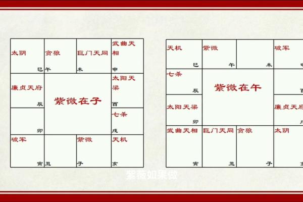 夫妻宫左辅_夫妻宫左辅右弼谁出轨