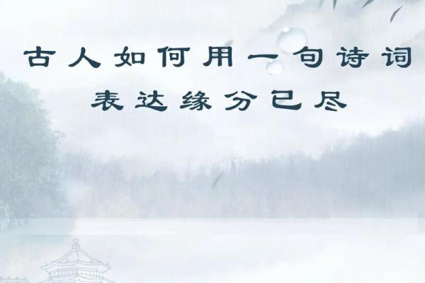 缘分的古诗_缘分的古诗文 缘分的古诗_缘分的古诗文