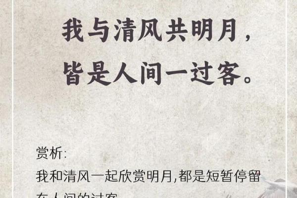 缘分的古诗_缘分的古诗文 缘分的古诗_缘分的古诗文