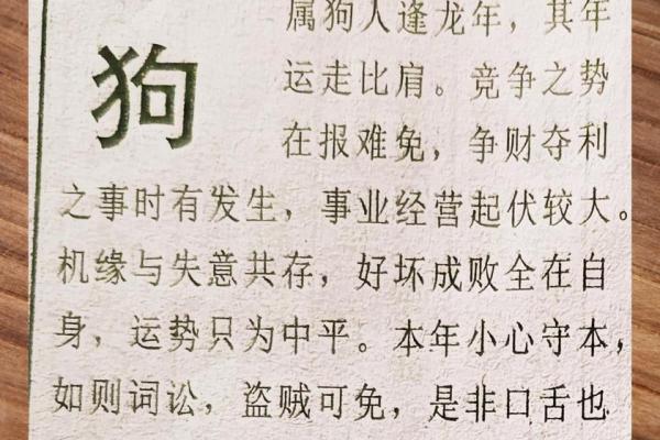 2026属狗人的全年运势_2025年属狗人全年运势及运程