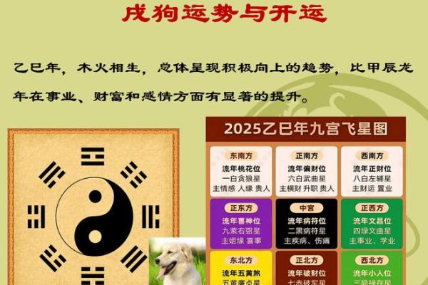2025属狗人运势 2025年属狗人运势详解财运事业感情全面解析