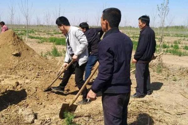 清明节上坟动土 清明节上坟动土