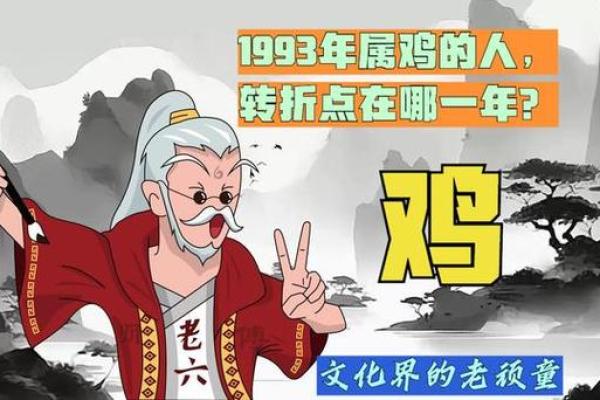 93年鸡在2025年运势_1993属鸡转折点在哪一年