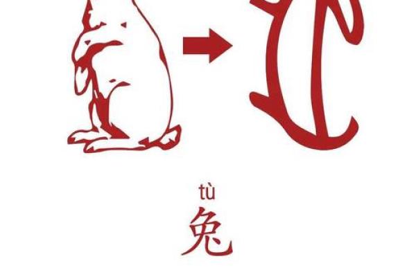 骨瘦如柴指什么生肖(骨瘦如柴的生肖指的是哪一只)