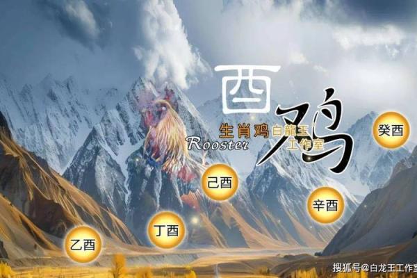 属鸡人2025年每月运势及运程详解 81属鸡2025年每月运势完整版 属鸡人2025年每月运势及运程详解 81属鸡2025年每月运势完整版