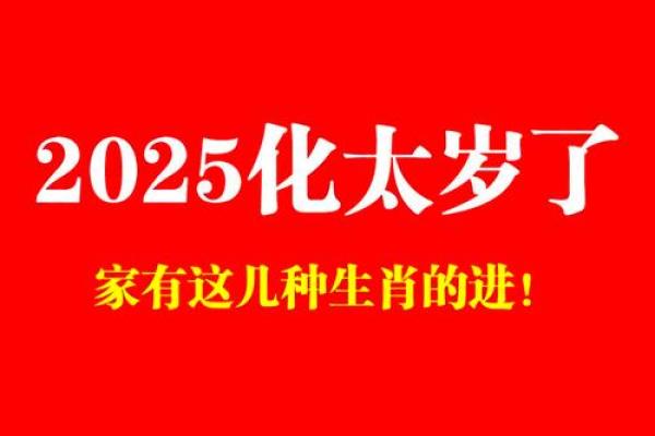 属兔人2025年运势预警灾难与化解之道