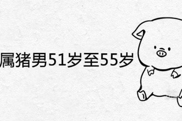1971年属猪男52至55岁姻缘解析运势与情感走向 1971年属猪男52至55岁姻缘解析运势与情感走向