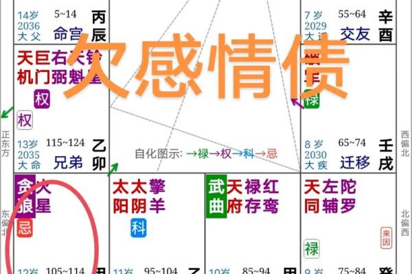 夫妻宫火星 夫妻宫火星解析婚姻中的激情与挑战