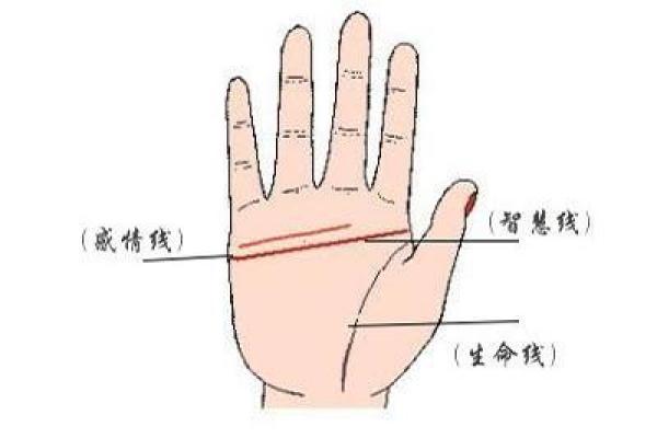 女人断掌真的会二婚吗_断掌的女人会有几个孩子 女人断掌真的会二婚吗_断掌的女人会有几个孩子