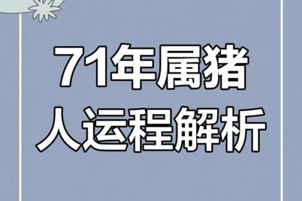 1971年2024年属猪人的全年运势_1971年猪人2022年运势