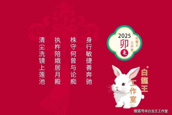 2025属兔人的全年运势如何_2025年属兔百年难遇 2025属兔人的全年运势如何_2025年属兔百年难遇