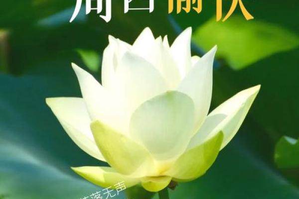 2025年5月20号 2025年5月20号