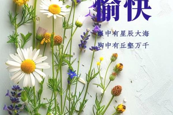 2025年5月20号 2025年5月20号