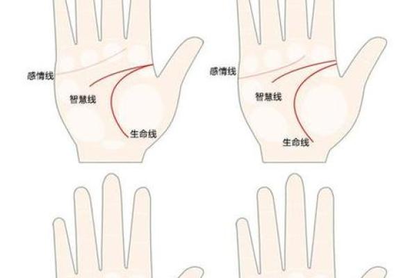 感情线怎么看几段姻缘_感情线解析如何看几段姻缘的命理奥秘 感情线怎么看几段姻缘_感情线解析如何看几段姻缘的命理奥秘