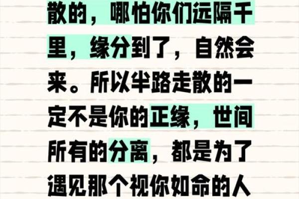 没缘分是什么意思_没缘分是什么意思揭秘缘分背后的深层含义