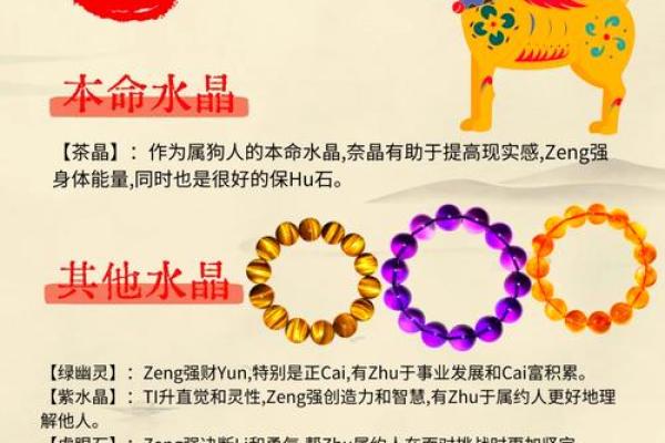 2025年属狗幸运色揭秘哪种颜色带来好运 2025年属狗幸运色揭秘哪种颜色带来好运