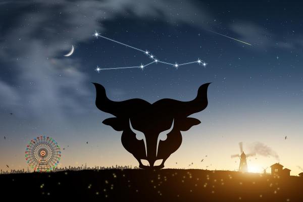 属兔金牛座2025年运势_属兔金牛座2025年运势怎么样 属兔金牛座2025年运势_属兔金牛座2025年运势怎么样