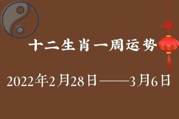 神机妙算开过什么生肖(神机妙算是什么生肖查一下) 神机妙算开过什么生肖(神机妙算是什么生肖查一下)
