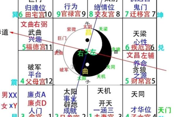 八字父母宫详解揭秘命理中的亲情密码 八字父母宫详解揭秘命理中的亲情密码