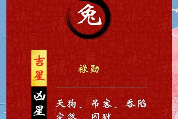 2025年属兔人终于转运了 1975年出生_1975年几月兔最有福气 2025年属兔人终于转运了 1975年出生_1975年几月兔最有福气