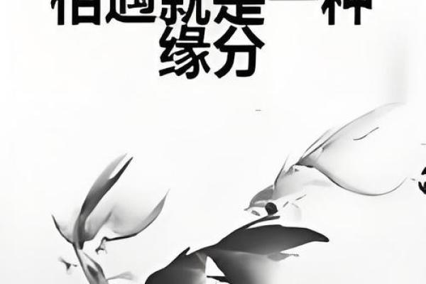 缘分让你我相遇_缘分让你我相遇是意外命运却要我们危难中相爱