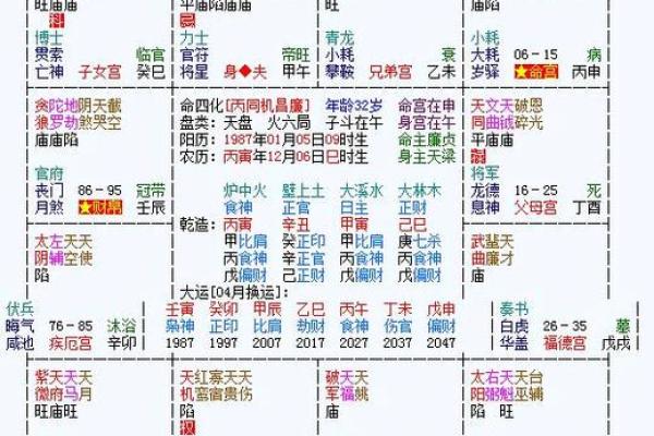 福德宫廉贞化忌_福德宫廉贞化忌代表什么 福德宫廉贞化忌_福德宫廉贞化忌代表什么