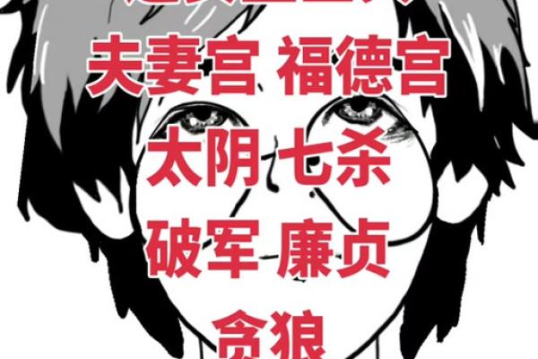 福德宫廉贞化忌_福德宫廉贞化忌代表什么 福德宫廉贞化忌_福德宫廉贞化忌代表什么